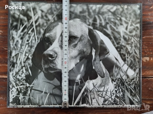 Фотокартина "Охотник", снимка 3 - Декорация за дома - 54029482