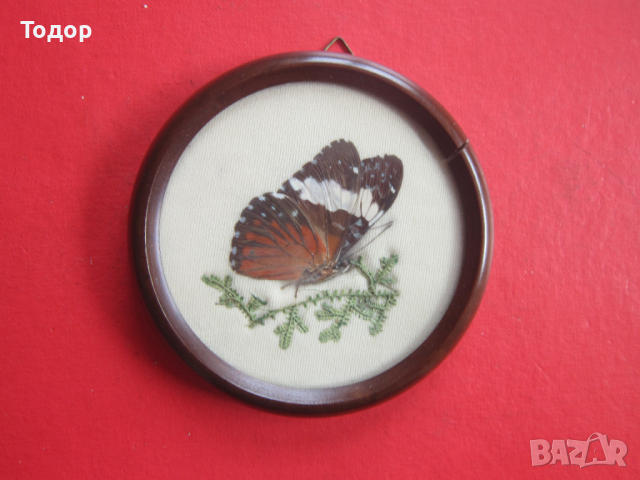 Невероятна бразилска арт картина изкуство пеперуда 2, снимка 6 - Картини - 36578084