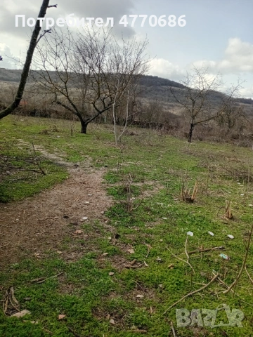 Продава се къща от собственик. с голям двор има и кладенец, снимка 5 - Къщи - 53897873