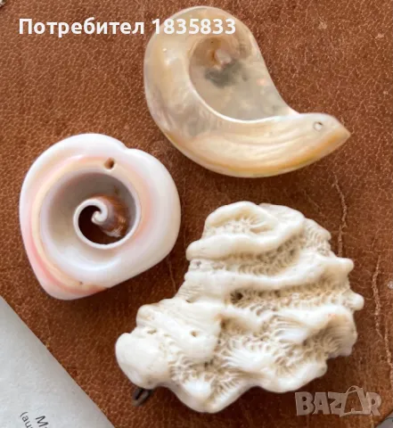 Стари морски медальони, снимка 2 - Други ценни предмети - 47911614