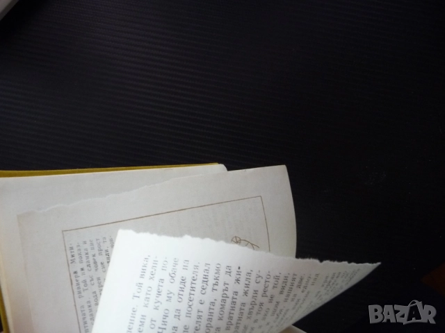 Ние, врабчетата Йордан Радичков автограф първо издание рядка, снимка 5 - Художествена литература - 52185841