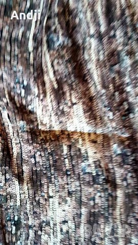  Дамски панталони Zara, снимка 10 - Панталони - 29573403