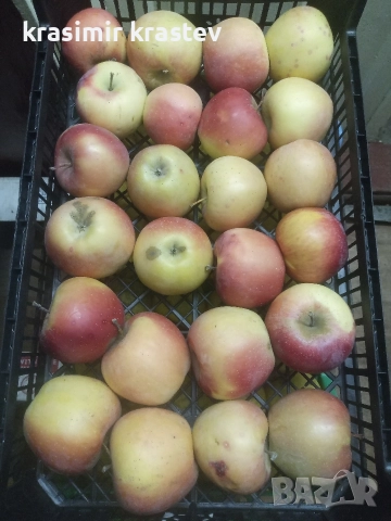 Ябълки домашни, снимка 2 - Домашни продукти - 52682035
