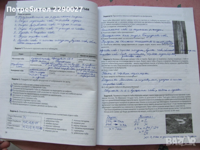 Учебна тетрадка по Биология за 7 клас - попълнена, снимка 2 - Учебници, учебни тетрадки - 51735638