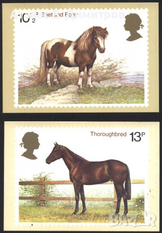 Пощенски картички Марки Коне 1978 от Великобритания, снимка 2 - Филателия - 39188989