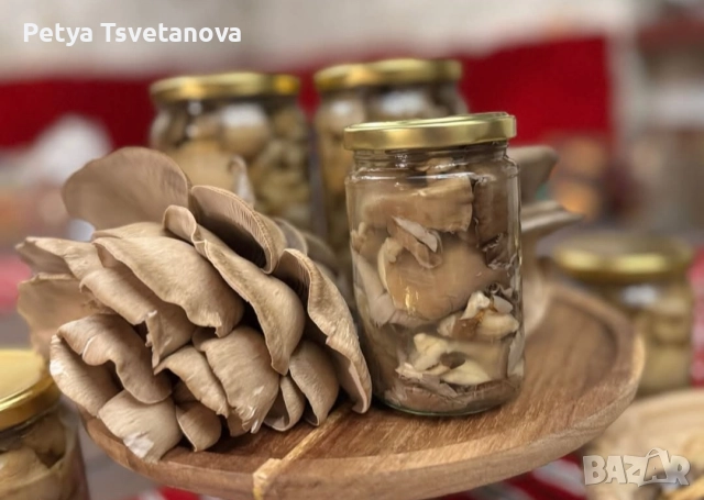 Кашон микс 10броя кладница и печурка , снимка 7 - Домашни продукти - 52938068