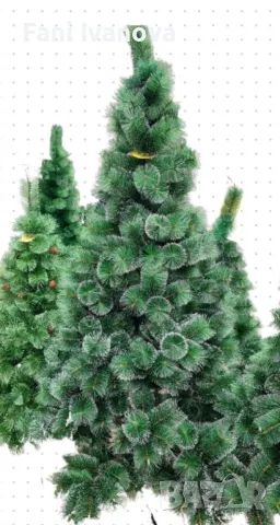 Елха 180см с бели връхчета