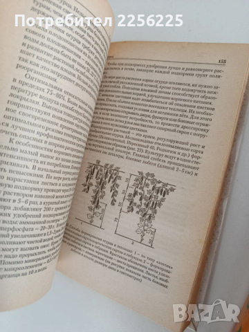ЛОТ Градинарство, снимка 11 - Специализирана литература - 54145229