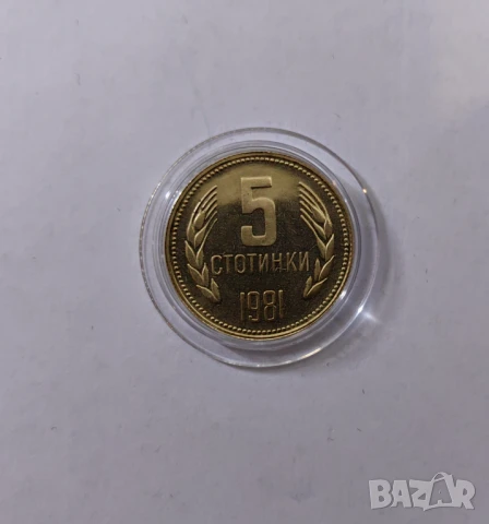5 стотинки 1981 година - Мат-гланц / Proof, снимка 4 - Нумизматика и бонистика - 51285438