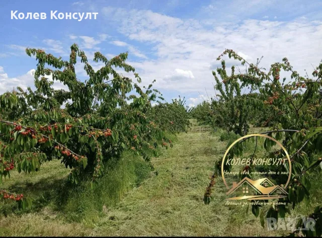 овощна градина село Узунджово, снимка 4 - Парцели - 56261615