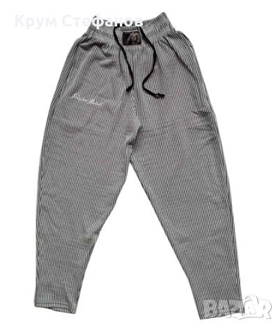 Анцунг Стефан Ботев, снимка 1