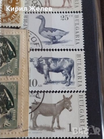 ПОЩЕНСКИ МАРКИ СТАРИ РЕДКИ ЗА КОЛЕКЦИОНЕРИ поща НРБ от соца 36667, снимка 7 - Филателия - 39936616