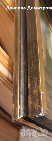 Рисувана картина на фазер, снимка 7 - Картини - 54205558