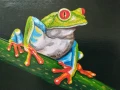 Красива картина на жаба, снимка 2