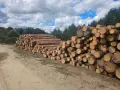 дърва за огрев на метър-бор, снимка 1