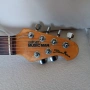 Musicman Steve Morse, снимка 1