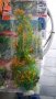 Изкуствени растения за аквариуми, снимка 1 - Оборудване за аквариуми - 34029398