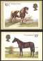 Пощенски картички Марки Коне 1978 от Великобритания, снимка 2