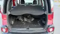 Citroen C3 Picasso , снимка 7