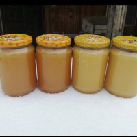 Пчелен мед , снимка 2 - Пчелни продукти - 44581881