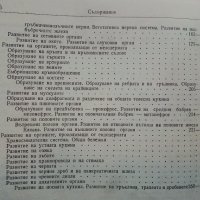 Ембриология на домашните животни - М.Москов - 1957г,, снимка 5 - Специализирана литература - 39531348
