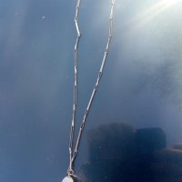 Руски кехлибар,янтар, снимка 5 - Колиета, медальони, синджири - 29984839