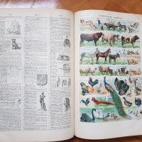 Стара голяма френска енциклопедия, снимка 6 - Антикварни и старинни предмети - 30897662
