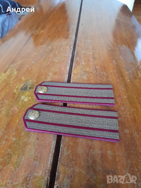 Стари пагони #3, снимка 1