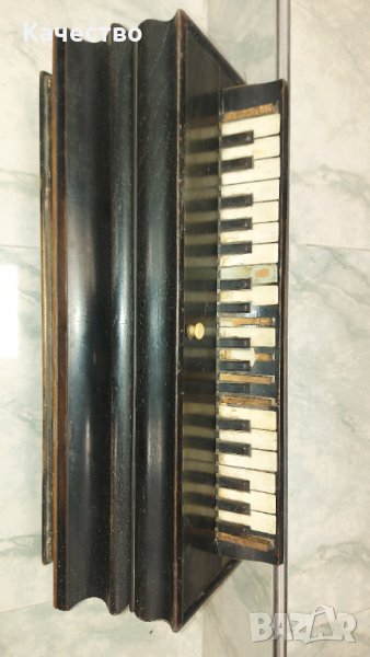 Френски акордеон , снимка 1
