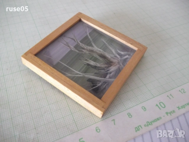 Картина малка, снимка 4 - Колекции - 54245277