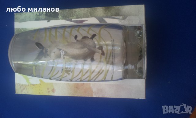Стъклени чаши Шрек - 2 вида - 12 бр, снимка 4 - Колекции - 38271995