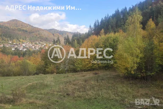 Заведение/Ресторант, продажба, Смилян, снимка 11 - Заведения - 55787471