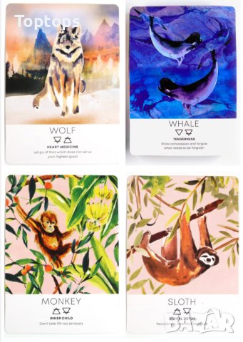 Оракул карти с животни: Divine Animals Oracle & Spirit Animal Wisdom & Whispers of the Ocean, снимка 7 - Карти за игра - 42292933