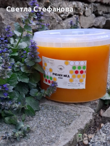 Пчелен мед 
