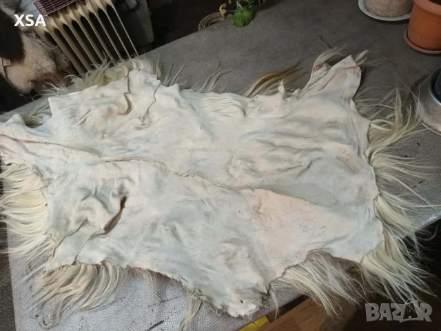 Естествени кожи от коза, снимка 6 - Други ценни предмети - 52265860