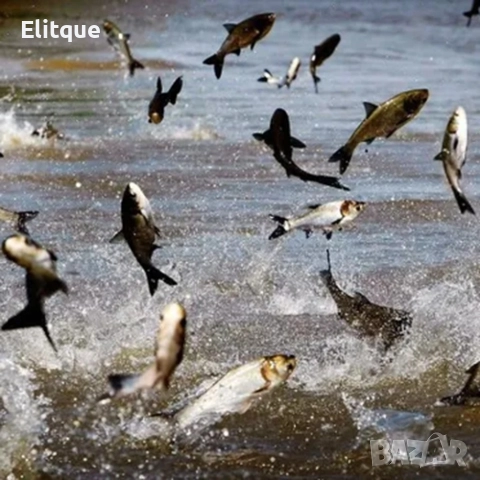 Риболовна добавка за захрана - Атрактант S-Lure, снимка 7 - Други стоки за дома - 52865200