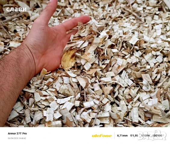 Мулч / Дървесен чипс / 100% Черница , снимка 4 - Тор и почвени смеси - 51243614