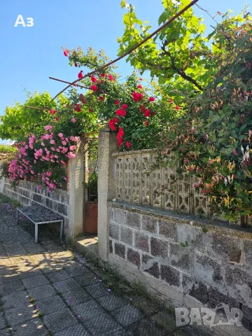 Продавам без Агенции! Две къщи в общ парцел. с. Борец.30км.от Пловдив