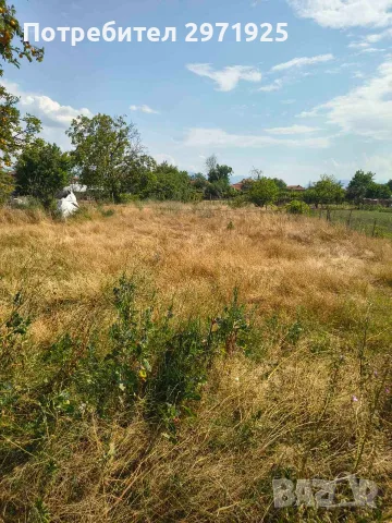 Парцел в с. Цалапица, снимка 4 - Парцели - 55705438