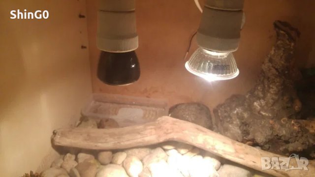 UVА+UVB халогенна и керамична инфраред лампа за терариум + ПОДАРЪК , снимка 3 - Оборудване за аквариуми - 29483668