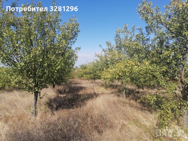 Продавам земеделска земя- овощна градина с. Левски, снимка 2 - Земеделска земя - 38077207