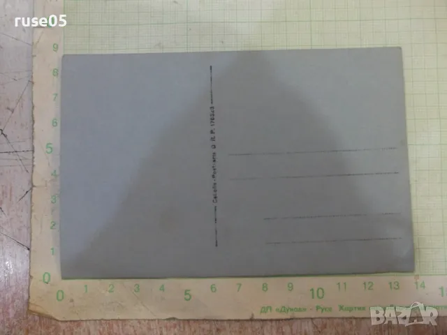 Снимка стара с роднини в къщи до миндера, снимка 2 - Колекции - 48017225