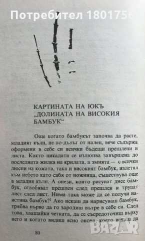 Записки от Източния склон - Су Шъ, снимка 3 - Художествена литература - 34325231