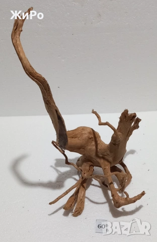 Корен от Азалия /декорация/ 60