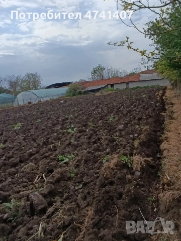 празен парцел в село Ястребово , снимка 2 - Парцели - 53519234