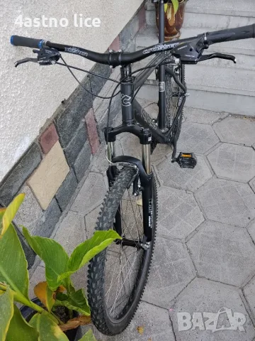 FELT Q26, CROSS sprinter велосипед , снимка 12 - Велосипеди - 56331137