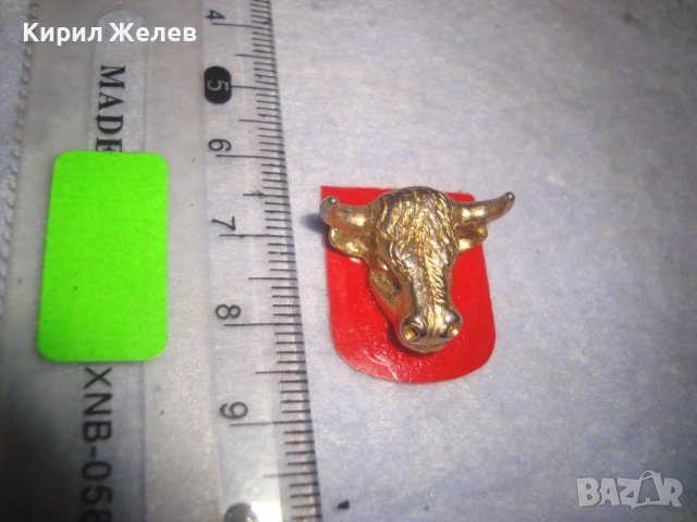 СТАРА ПОЗЛАТЕНА ГЛАВА на БИК ФИГУРАЛНА АРТ АПЛИКАЦИЯ Тип ЗНАЧКА РЯДКА за КОЛЕКЦИЯ 27931, снимка 3 - Колекции - 37095301