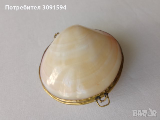 Кутия за бижута - протмоне от естествена мида, снимка 2 - Други ценни предмети - 40821438