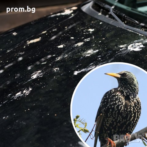 Gardigo Соларна защита срещу птиците 360°, ново, немско, внос от Германия, снимка 14 - Други стоки за животни - 31444595