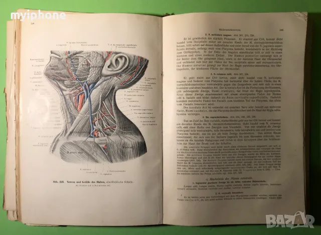Стара Книга Анатомия ма Човека /Rauber Kopsch, снимка 14 - Специализирана литература - 49218517